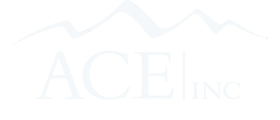 ACE Logo